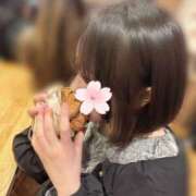 ヒメ日記 2025/04/06 09:06 投稿 ひよこ ビギナーズ神戸