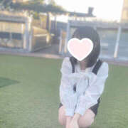 ヒメ日記 2025/11/22 20:21 投稿 ひよこ ビギナーズ神戸