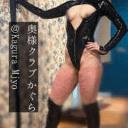 ヒメ日記 2025/04/26 09:30 投稿 かぐら 奥様クラブ