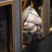 ヒメ日記 2025/08/28 12:30 投稿 かぐら 奥様クラブ