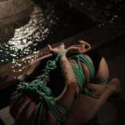 ヒメ日記 2025/11/23 05:30 投稿 かぐら 奥様クラブ