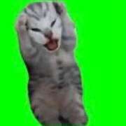 ヒメ日記 2025/02/17 11:45 投稿 井上 せれな 京都ホットポイント