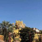 ヒメ日記 2025/04/03 06:18 投稿 井上 せれな 京都ホットポイント