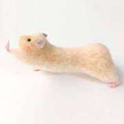 ヒメ日記 2025/04/27 08:41 投稿 井上 せれな 京都ホットポイント