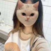 ヒメ日記 2025/08/05 12:18 投稿 井上 せれな 京都ホットポイント