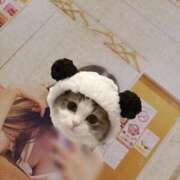 ヒメ日記 2025/09/04 09:01 投稿 井上 せれな 京都ホットポイント