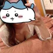 ヒメ日記 2025/09/25 07:51 投稿 井上 せれな 京都ホットポイント