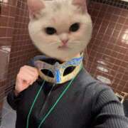 ヒメ日記 2026/01/31 07:02 投稿 井上 せれな 京都ホットポイント