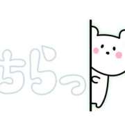 ヒメ日記 2025/03/02 12:32 投稿 五十嵐　あいこ ギン妻パラダイス 谷九店