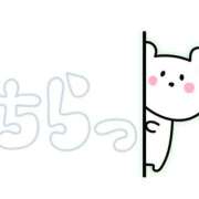 ヒメ日記 2025/05/04 10:54 投稿 五十嵐　あいこ ギン妻パラダイス 谷九店