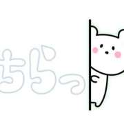 ヒメ日記 2025/05/18 11:06 投稿 五十嵐　あいこ ギン妻パラダイス 谷九店