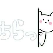 ヒメ日記 2025/10/04 10:08 投稿 五十嵐　あいこ ギン妻パラダイス 谷九店