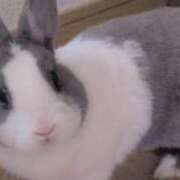 ヒメ日記 2025/05/24 23:50 投稿 ことね 太田人妻城