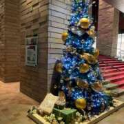 ヒメ日記 2024/12/23 10:58 投稿 さなえ ギン妻パラダイス 和歌山店