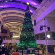 ヒメ日記 2024/12/24 10:00 投稿 さなえ ギン妻パラダイス 和歌山店