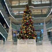 ヒメ日記 2024/12/25 09:49 投稿 さなえ ギン妻パラダイス 和歌山店