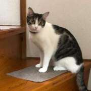 ヒメ日記 2025/02/22 11:55 投稿 さなえ ギン妻パラダイス 和歌山店