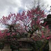 ヒメ日記 2025/02/26 11:04 投稿 さなえ ギン妻パラダイス 和歌山店