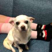 ヒメ日記 2025/03/17 08:44 投稿 さなえ ギン妻パラダイス 和歌山店