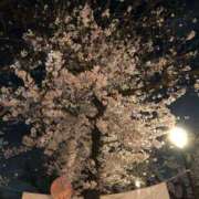 ヒメ日記 2025/03/26 09:59 投稿 さなえ ギン妻パラダイス 和歌山店