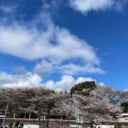 ヒメ日記 2025/04/05 09:56 投稿 さなえ ギン妻パラダイス 和歌山店