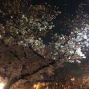 ヒメ日記 2025/04/10 11:59 投稿 さなえ ギン妻パラダイス 和歌山店