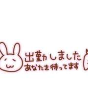 ヒメ日記 2025/11/03 12:21 投稿 さなえ ギン妻パラダイス 和歌山店