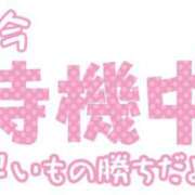 ヒメ日記 2025/11/17 12:31 投稿 さなえ ギン妻パラダイス 和歌山店