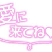 ヒメ日記 2025/12/12 16:23 投稿 さなえ ギン妻パラダイス 和歌山店