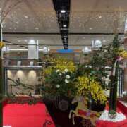 ヒメ日記 2026/01/02 13:28 投稿 さなえ ギン妻パラダイス 和歌山店