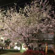 ヒメ日記 2026/03/27 08:53 投稿 さなえ ギン妻パラダイス 和歌山店