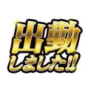 ヒメ日記 2026/05/19 12:57 投稿 さなえ ギン妻パラダイス 和歌山店