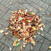 ヒメ日記 2025/04/23 22:31 投稿 杏奈-あんな 熟女10000円デリヘル横浜