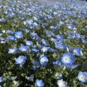 ヒメ日記 2025/05/01 09:35 投稿 めい 中洲秘密倶楽部