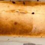 ヒメ日記 2025/09/15 00:05 投稿 めい 中洲秘密倶楽部