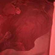 ヒメ日記 2025/10/12 01:35 投稿 めい 中洲秘密倶楽部