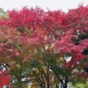 ヒメ日記 2025/11/18 14:15 投稿 めい 中洲秘密倶楽部