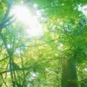 ヒメ日記 2026/03/01 03:55 投稿 めい 中洲秘密倶楽部