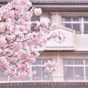 ヒメ日記 2026/03/05 03:05 投稿 めい 中洲秘密倶楽部