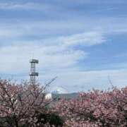 森田あや 森田あや 色気あるワイフ