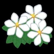 ヒメ日記 2025/03/15 17:40 投稿 もえは 神田ハンドメイド