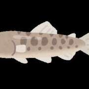 ヒメ日記 2025/05/03 19:41 投稿 もえは 神田ハンドメイド