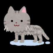 ヒメ日記 2025/05/10 18:02 投稿 もえは 神田ハンドメイド