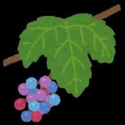 ヒメ日記 2025/09/13 19:50 投稿 もえは 神田ハンドメイド