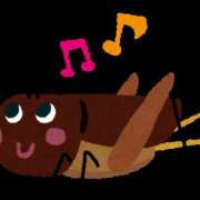 ヒメ日記 2025/09/27 15:47 投稿 もえは 神田ハンドメイド