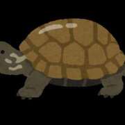 ヒメ日記 2025/11/08 20:16 投稿 もえは 神田ハンドメイド