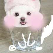 ヒメ日記 2025/11/15 12:38 投稿 もえは 神田ハンドメイド