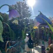 ヒメ日記 2025/04/16 00:13 投稿 つぐみ 町田人妻城