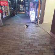 ヒメ日記 2026/08/03 14:07 投稿 アキ Wonder7 (ワンダー7)
