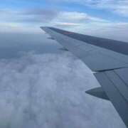 ヒメ日記 2026/02/25 08:23 投稿 ひなた 横浜ハッピーマットパラダイス